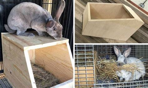 rabbit nesting box size